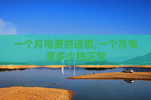 一个月电费的透视,一个月电费多少钱正常