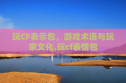 玩CF表示包，游戏术语与玩家文化,玩cf表情包