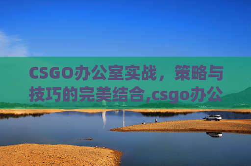 CSGO办公室实战,策略与技巧的完美结合,csgo办公室打法 CSGO办公室实战,策略与技巧的完美结合,csgo办公室打法