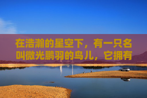 在浩瀚的星空下，有一只名叫微光鹏羽的鸟儿，它拥有着与众不同的羽毛。这些羽毛不是普通的羽毛，而是蕴含着神秘力量的魔法羽毛。微光鹏羽的羽毛在阳光下闪耀着微弱的光芒，虽然光芒微弱，但却足以照亮黑暗的角落。,微光鹏羽有什么用