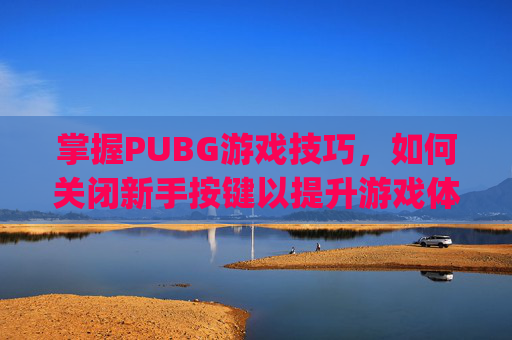 掌握PUBG游戏技巧，如何关闭新手按键以提升游戏体验,pubg新手按键怎么去掉