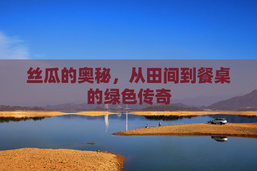 丝瓜的奥秘，从田间到餐桌的绿色传奇
