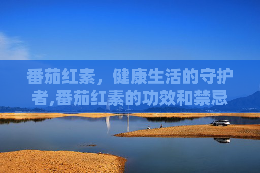 番茄红素，健康生活的守护者,番茄红素的功效和禁忌