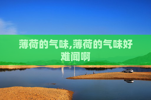 薄荷的气味,薄荷的气味好难闻啊