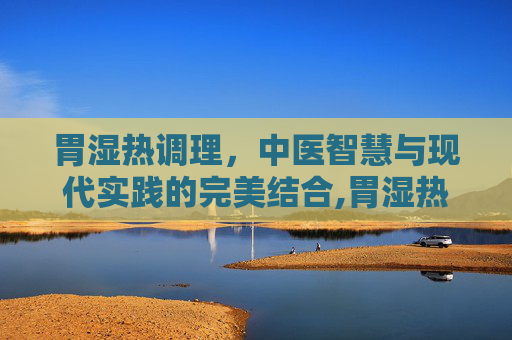 胃湿热调理，中医智慧与现代实践的完美结合,胃湿热如何调理最好