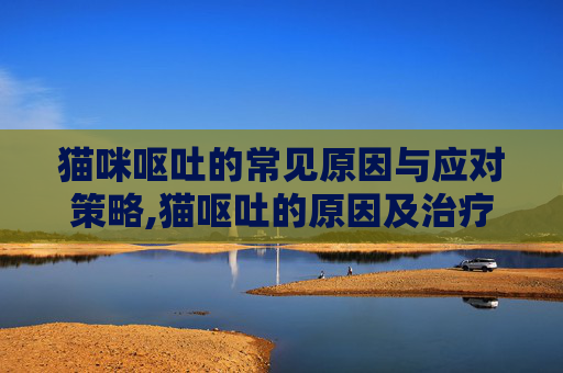 猫咪呕吐的常见原因与应对策略,猫呕吐的原因及治疗办法