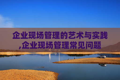 企业现场管理的艺术与实践,企业现场管理常见问题