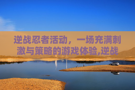 逆战忍者活动，一场充满刺激与策略的游戏体验,逆战忍者之魂怎么获得
