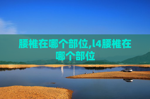 腰椎在哪个部位,l4腰椎在哪个部位