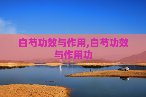 白芍功效与作用,白芍功效与作用功