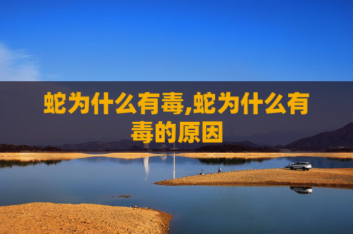 蛇为什么有毒,蛇为什么有毒的原因
