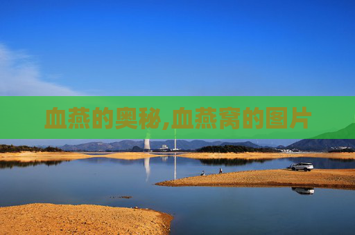 血燕的奥秘,血燕窝的图片 血燕的奥秘,血燕窝的图片