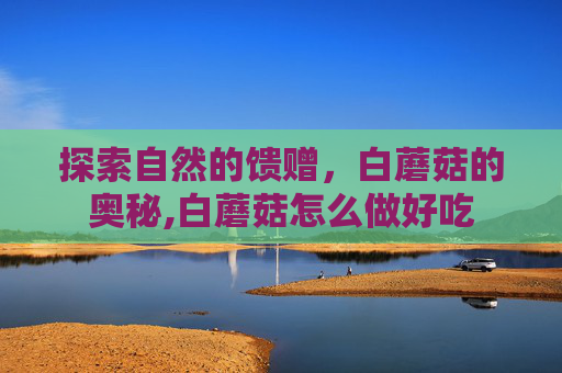 探索自然的馈赠，白蘑菇的奥秘,白蘑菇怎么做好吃