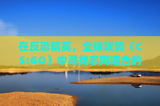 在反恐精英，全球攻势（CS:GO）中寻找志同道合的好友,cs go怎么搜索好友