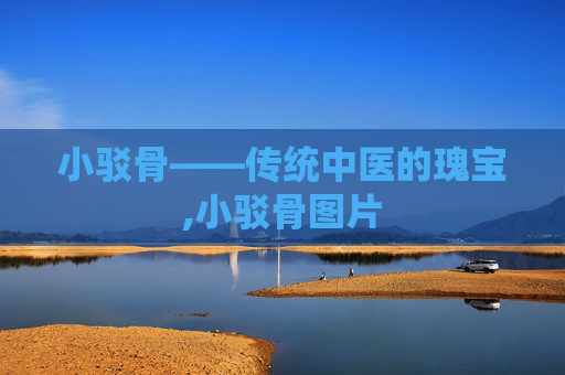 小驳骨——传统中医的瑰宝,小驳骨图片