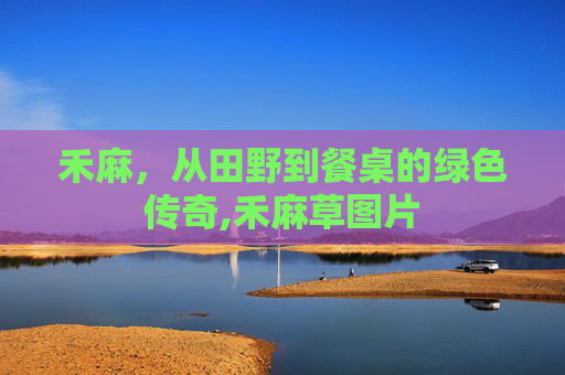 禾麻，从田野到餐桌的绿色传奇,禾麻草图片