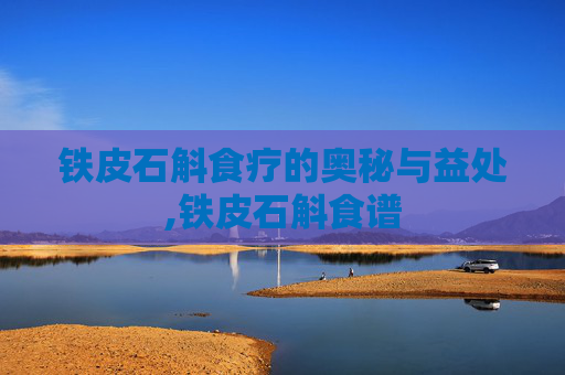 铁皮石斛食疗的奥秘与益处,铁皮石斛食谱