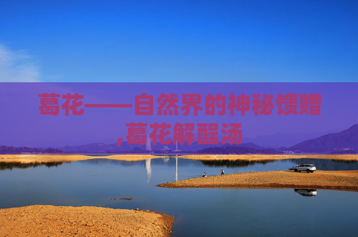 葛花——自然界的神秘馈赠,葛花解酲汤