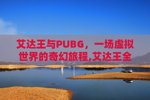 艾达王与PUBG，一场虚拟世界的奇幻旅程,艾达王全身图