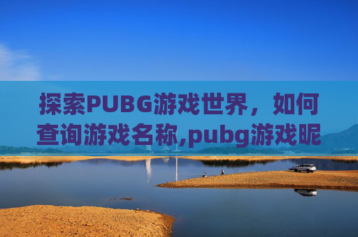 探索PUBG游戏世界，如何查询游戏名称,pubg游戏昵称查询