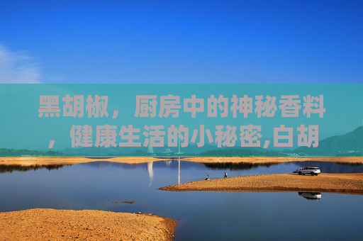 黑胡椒，厨房中的神秘香料，健康生活的小秘密,白胡椒和黑胡椒的功效与作用