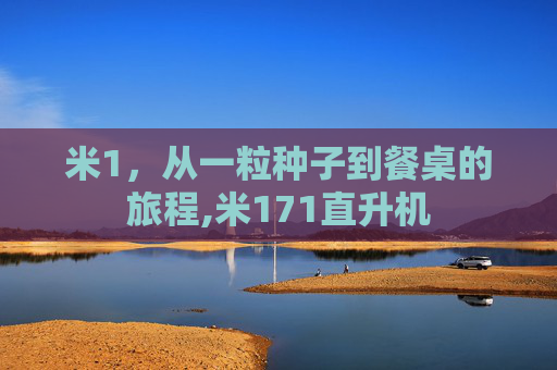 米1，从一粒种子到餐桌的旅程,米171直升机