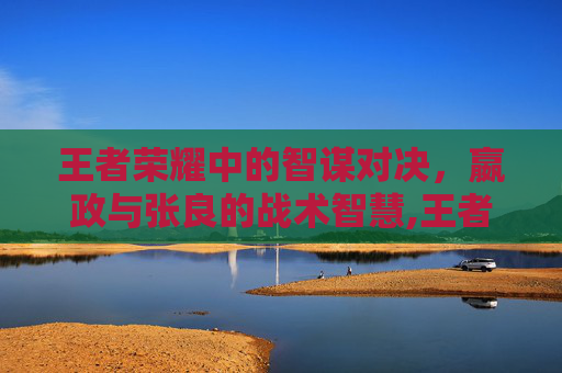 王者荣耀中的智谋对决，嬴政与张良的战术智慧,王者荣耀嬴政和张良哪个好