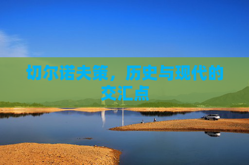 切尔诺夫策，历史与现代的交汇点