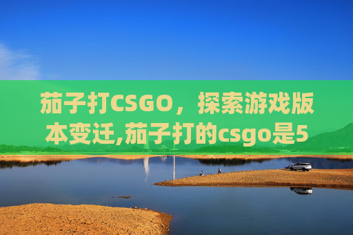 茄子打CSGO，探索游戏版本变迁,茄子打的csgo是5e吗