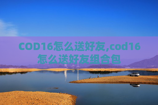 COD16怎么送好友,cod16怎么送好友组合包