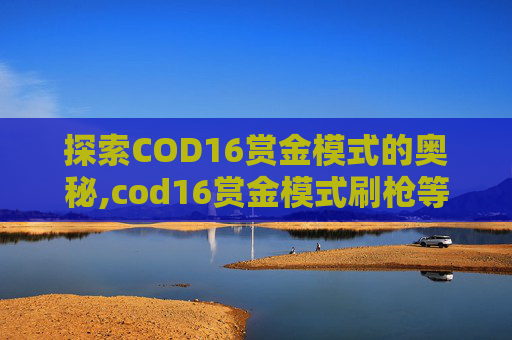 探索COD16赏金模式的奥秘,cod16赏金模式刷枪等级
