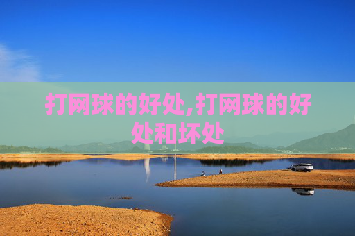 打网球的好处,打网球的好处和坏处