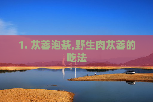 1. 苁蓉泡茶,野生肉苁蓉的吃法