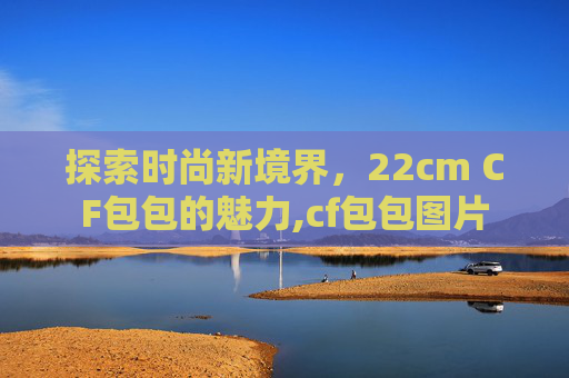 探索时尚新境界，22cm CF包包的魅力,cf包包图片