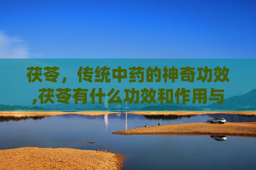 茯苓，传统中药的神奇功效,茯苓有什么功效和作用与主治