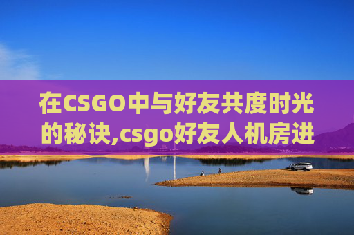 在CSGO中与好友共度时光的秘诀,csgo好友人机房进不去