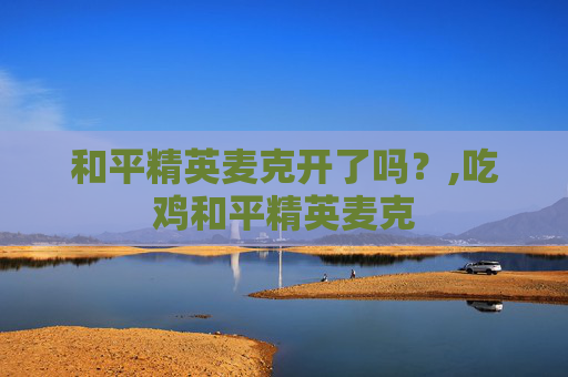 和平精英麦克开了吗？,吃鸡和平精英麦克