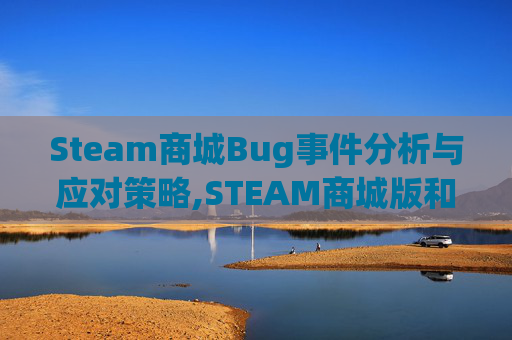 Steam商城Bug事件分析与应对策略,STEAM商城版和steam区别