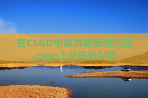 在CSGO中成为监管的旅程,csgo上监管必封吗