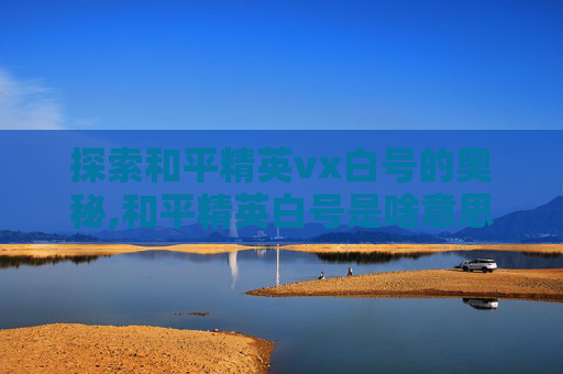 探索和平精英vx白号的奥秘,和平精英白号是啥意思