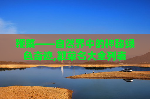 鞭菜——自然界中的神秘绿色奇迹,鞭菜名大全列表