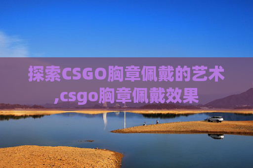 探索CSGO胸章佩戴的艺术,csgo胸章佩戴效果