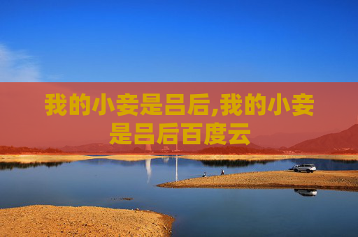 我的小妾是吕后,我的小妾是吕后百度云