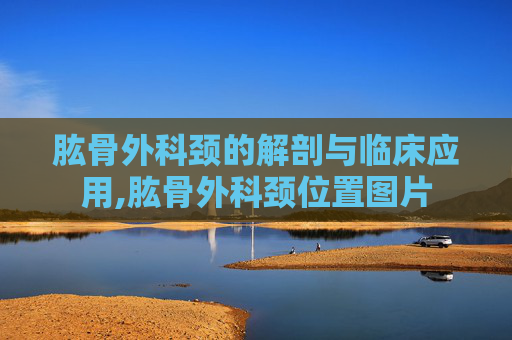 肱骨外科颈的解剖与临床应用,肱骨外科颈位置图片