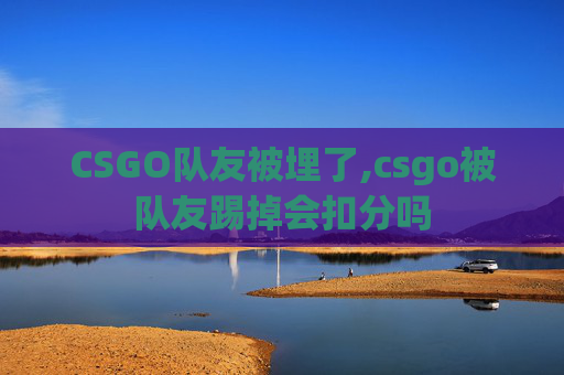 CSGO队友被埋了,csgo被队友踢掉会扣分吗