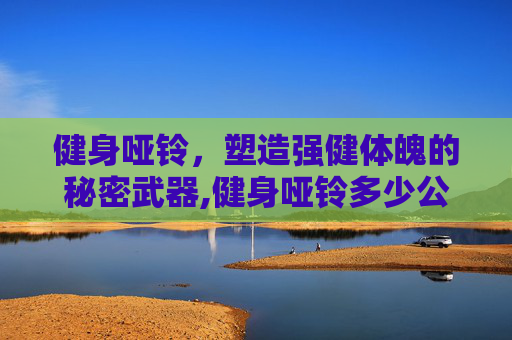 健身哑铃，塑造强健体魄的秘密武器,健身哑铃多少公斤合适