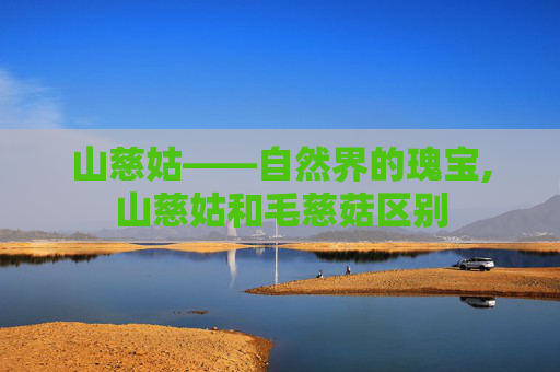 山慈姑——自然界的瑰宝,山慈姑和毛慈菇区别