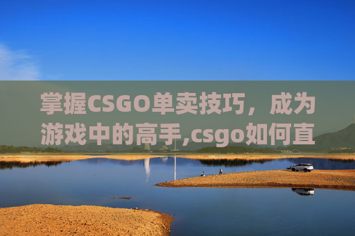 掌握CSGO单卖技巧，成为游戏中的高手,csgo如何直接卖东西