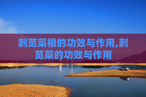 刺苋菜根的功效与作用,刺苋菜的功效与作用