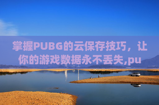 掌握PUBG的云保存技巧，让你的游戏数据永不丢失,pubg怎么保存云端
